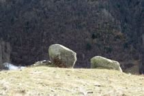 Blocs erràtics situats ben a prop del camí.