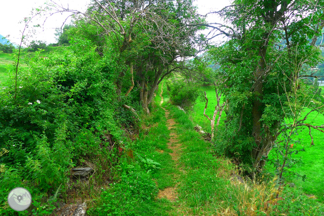 Mirador de San Mamés a Sallent de Gállego 1 