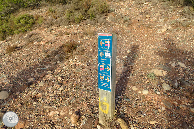 El Montcau (1.056 m) des del Marquet de les Roques  1 