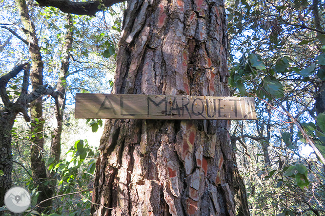 El Montcau (1.056 m) des del Marquet de les Roques  1 