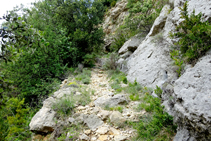 Camí empedrat vers el Cap del Grau.