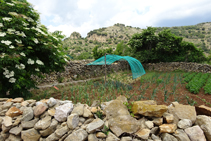 Horts entrant a Sant Julià de Cerdanyola.