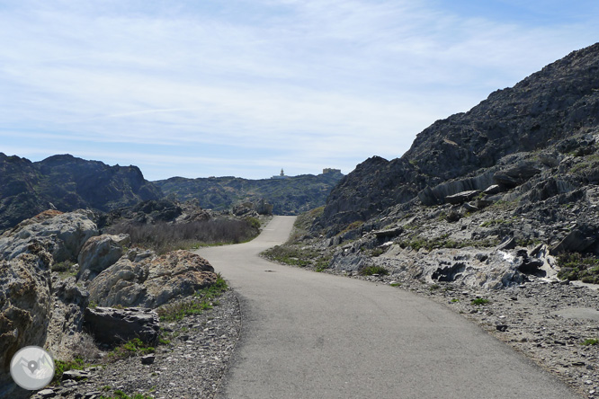 Passejada pel Paratge de Tudela 1 