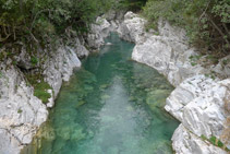 Riu Ara des del pont d´Oncins (aigües amunt).