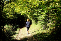 Caminant a l´ombra del bosc caducifoli.