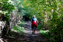 Caminant a l´ombra de l´avellanosa.