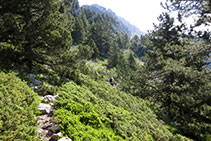 Fent camí cap al coll de Cabra.