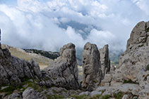 Agulles calcàries.