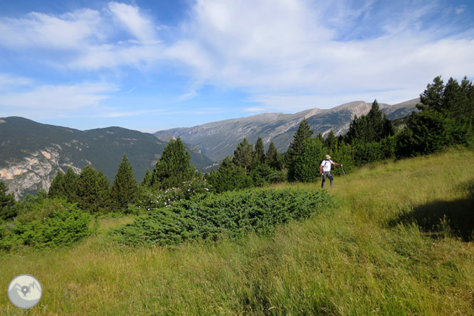 Pedraforca (2.506m) des de Gósol 1 