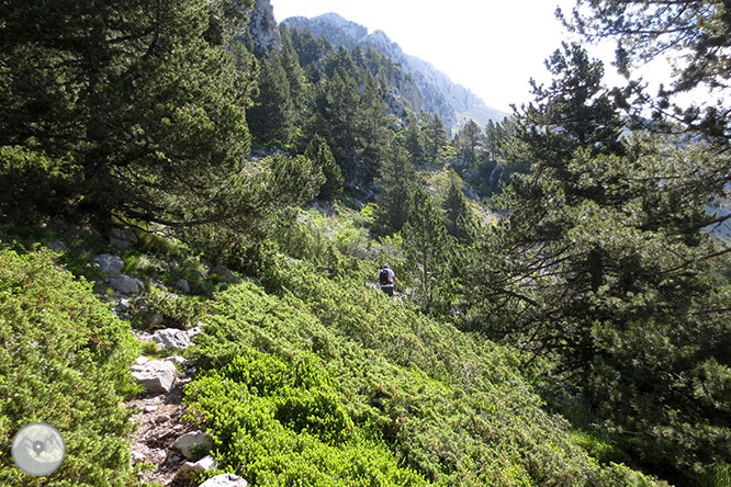 Pedraforca (2.506m) des de Gósol 1 