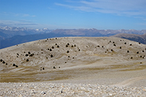 La Tossa Pelada i els Pirineus des del cim.