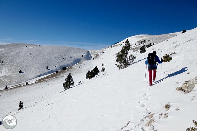 Pedró dels Quatre Batlles (2.386m) 1 