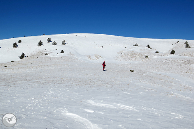 Pedró dels Quatre Batlles (2.386m) 1 