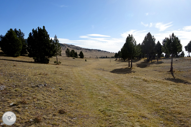 Pedró dels Quatre Batlles (2.386m) 1 