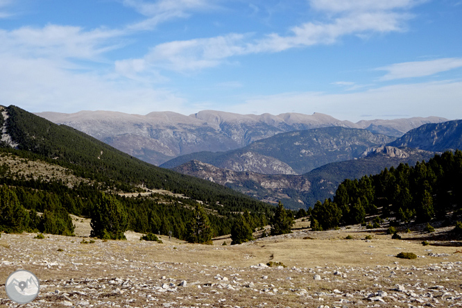 Pedró dels Quatre Batlles (2.386m) 1 