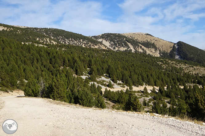 Pedró dels Quatre Batlles (2.386m) 1 