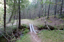 Camí al barranc dels Forcats.