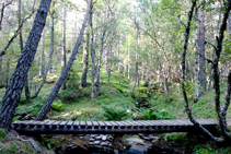 Pont del barranc dels Forcats.