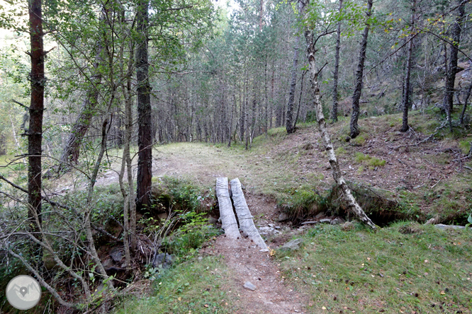 Pels boscos de Sant Joan de l