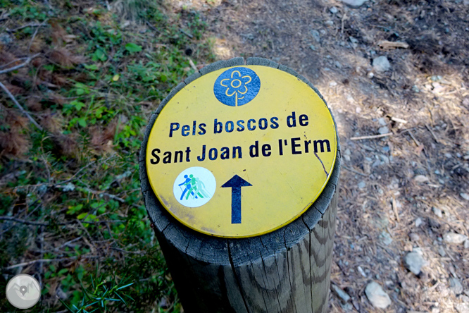 Pels boscos de Sant Joan de l