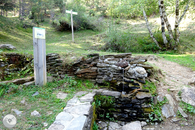 Pels boscos de Sant Joan de l