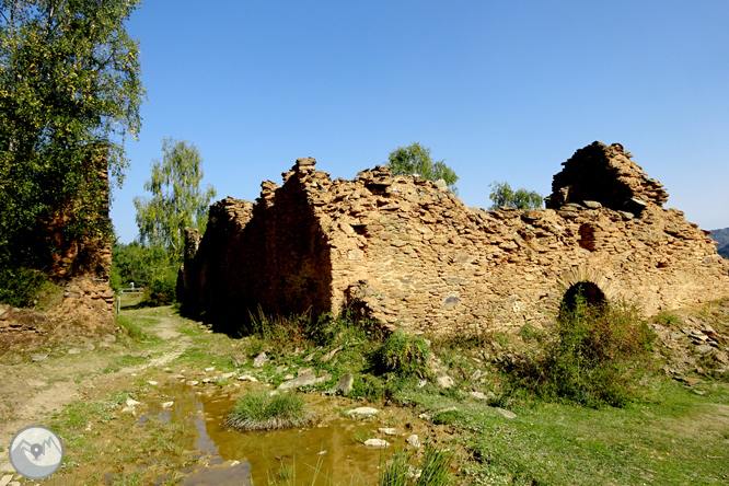 Pels boscos de Sant Joan de l