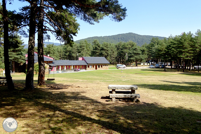 Pels boscos de Sant Joan de l