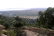 Camí de ferradura que baixa cap a Palau-saverdera, amb murs de pedra seca.