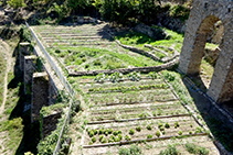 Hort del monestir, avui cuidat pel personal del restaurant.