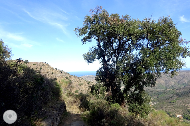 Pels dominis de Sant Pere de Rodes 1 