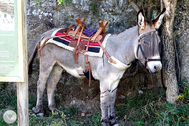 Pels dominis de Sant Pere de Rodes 1 