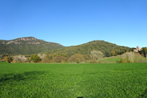 Camps a les faldes de Sant Julià del Mont.