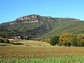 Per antics camins de monjos a Sant Julià del Mont