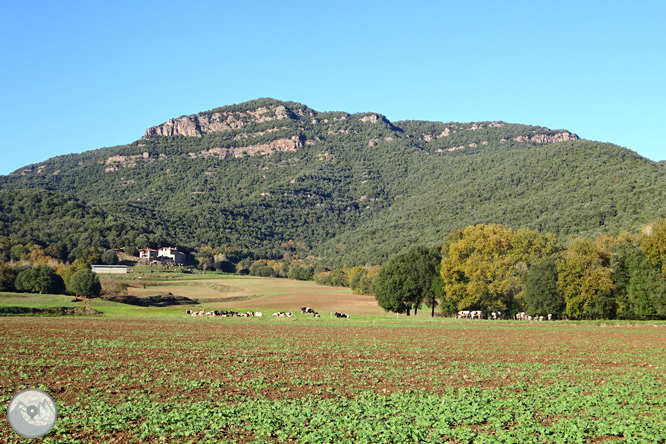 Per antics camins de monjos a Sant Julià del Mont 1 