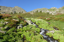 Font dels Clots de la Llosa.