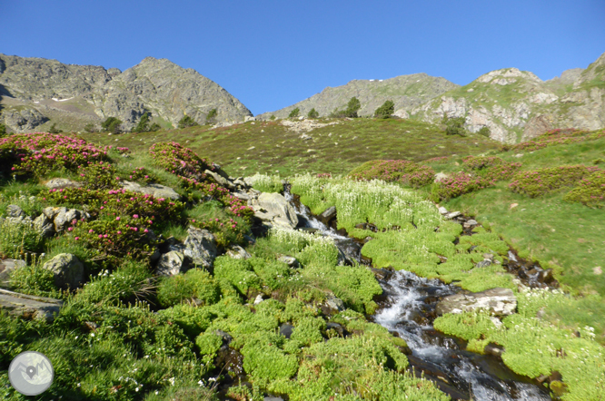 Estanys de Ransol i pic de la Serrera (2.913m) 1 