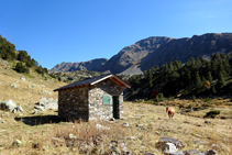 Cabana i pleta de la Serrera.