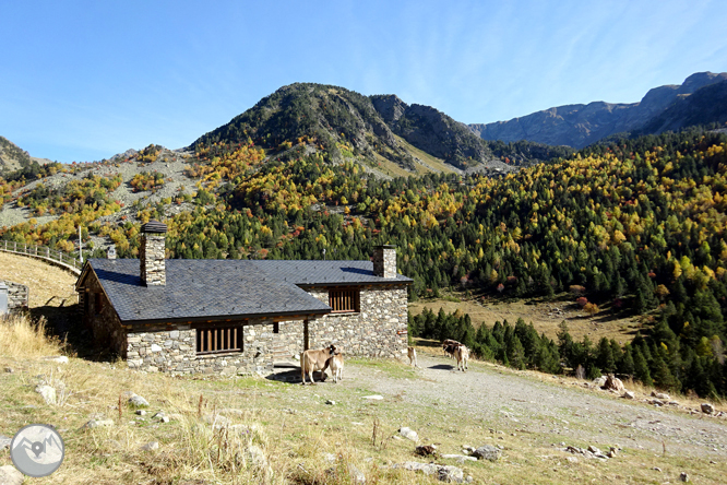 Pic de la Serrera (2.913m) per la vall de Sorteny 1 