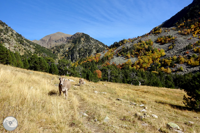 Pic de la Serrera (2.913m) per la vall de Sorteny 1 