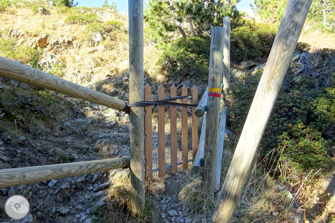 Pic de la Serrera (2.913m) per la vall de Sorteny 1 