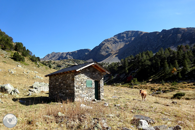 Pic de la Serrera (2.913m) per la vall de Sorteny 1 