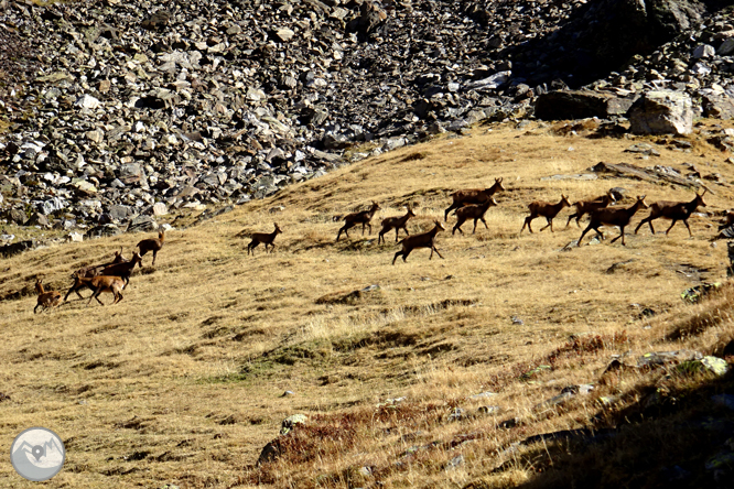 Pic de la Serrera (2.913m) per la vall de Sorteny 1 