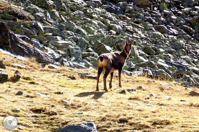 Pic de la Serrera (2.913m) per la vall de Sorteny 1 