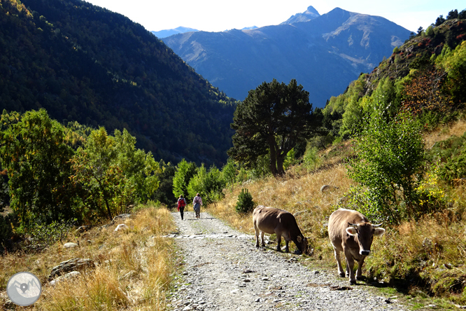 Pic de la Serrera (2.913m) per la vall de Sorteny 1 