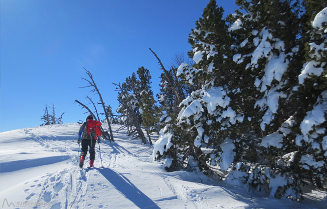 Pic de Tarbésou (2.364m) des de Mijanes 1