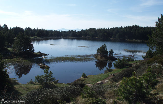 Carlit (2.921m) des del llac de les Bulloses 1 