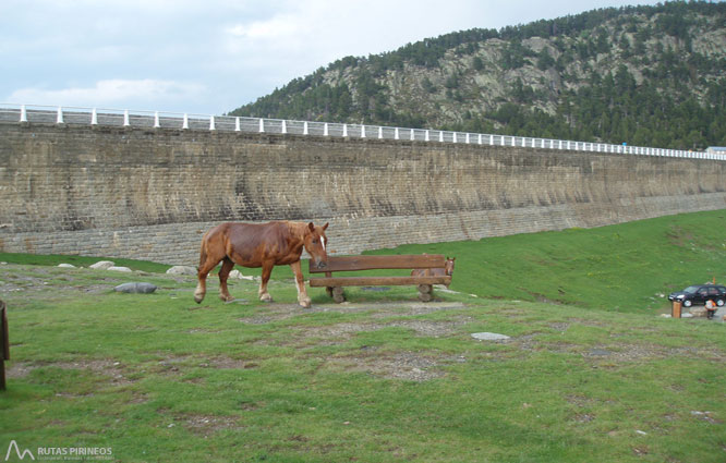 Carlit (2.921m) des del llac de les Bulloses 1 