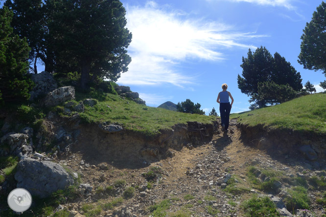 Pic Arlas (2.044m) des del coll de la Piedra de San Martín 1 