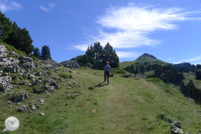 Pic Arlas (2.044m) des del coll de la Piedra de San Martín 1 