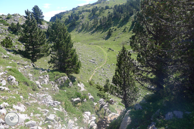 Pic Arlas (2.044m) des del coll de la Piedra de San Martín 1 